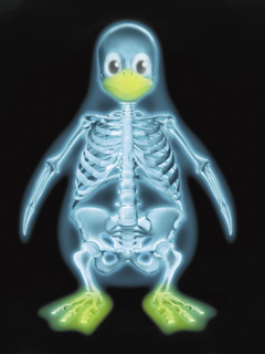 Other Wallpapers 0884